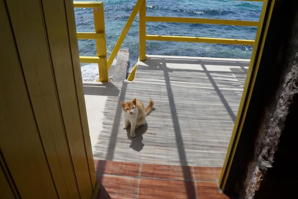 The Yellow Boat House Klima  エクステリア 写真